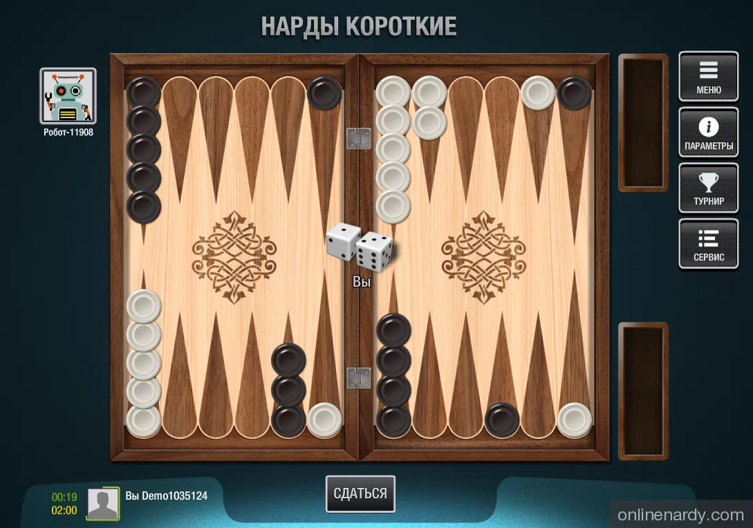 Что можно прочитать о нардах - обзор литературы об игре Фото 1 Что можно прочитать о нардах - обзор литературы об игре