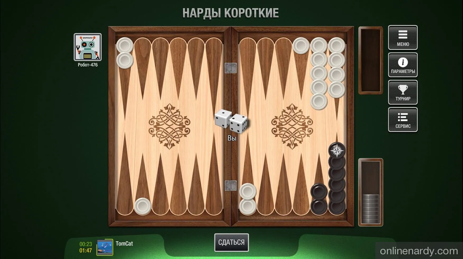 Нарды играть с компьютером Фото 1 Нарды играть с компьютером